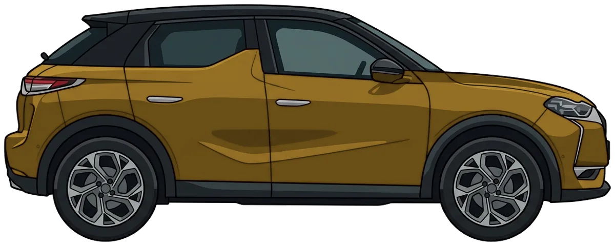 DS