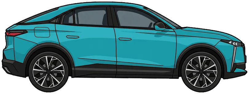 DS